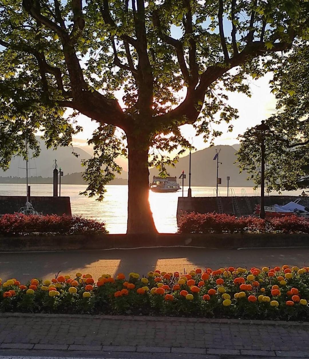 Lily Lake Maggiore Laveno Exterior photo